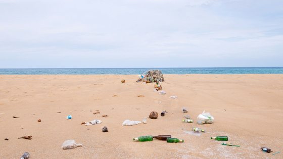 Beach junk collector
