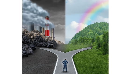 How Much Recyclable Material Ends Up In Landfills