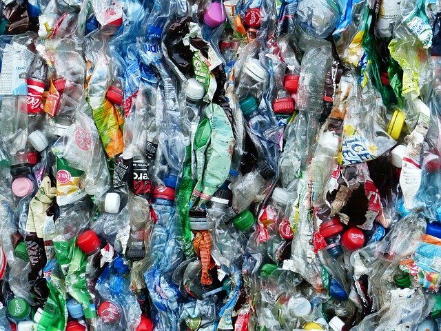 can plastic affect fertility