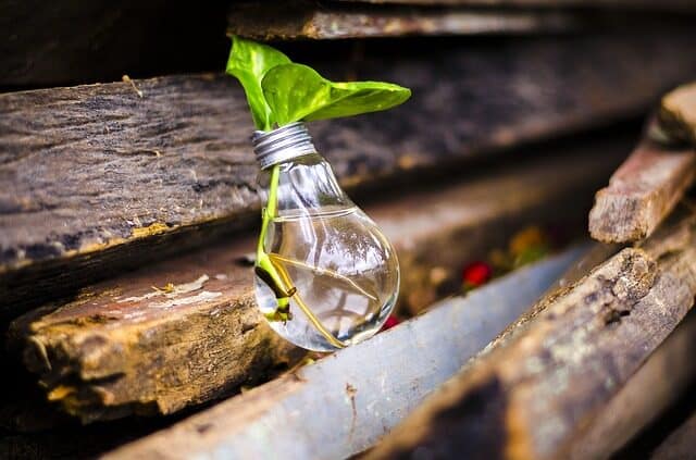 recycling incentives - recycled light bulb