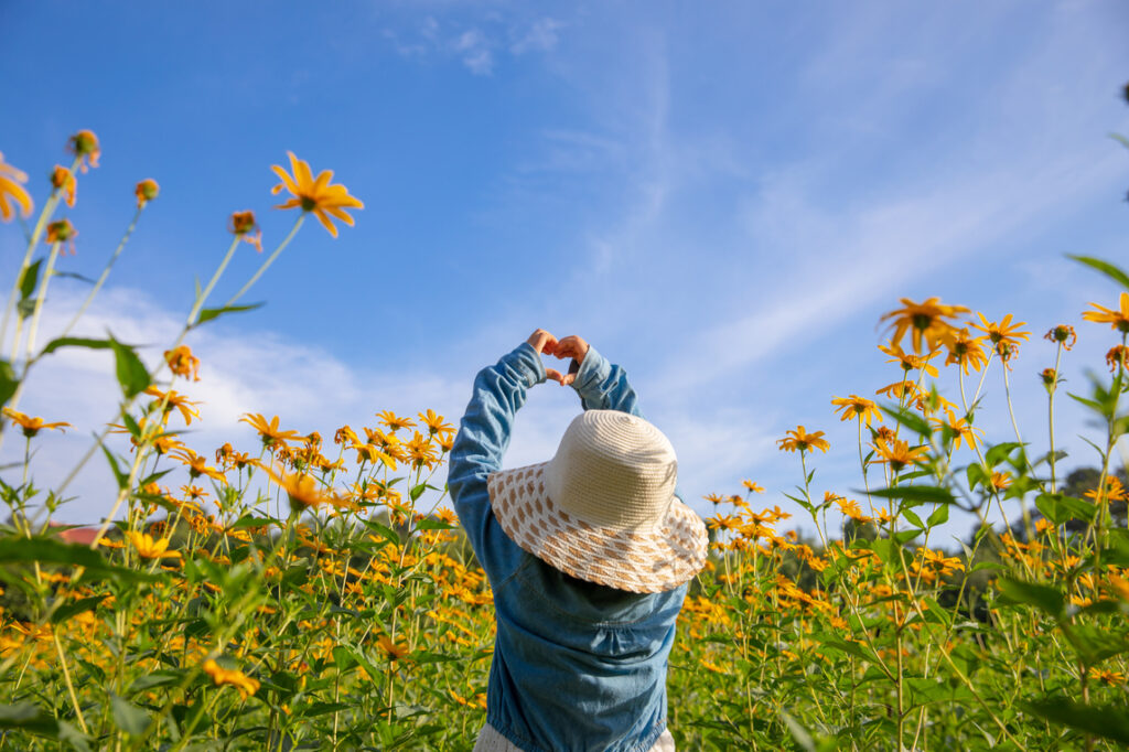 picture used for waste management in childcare blog