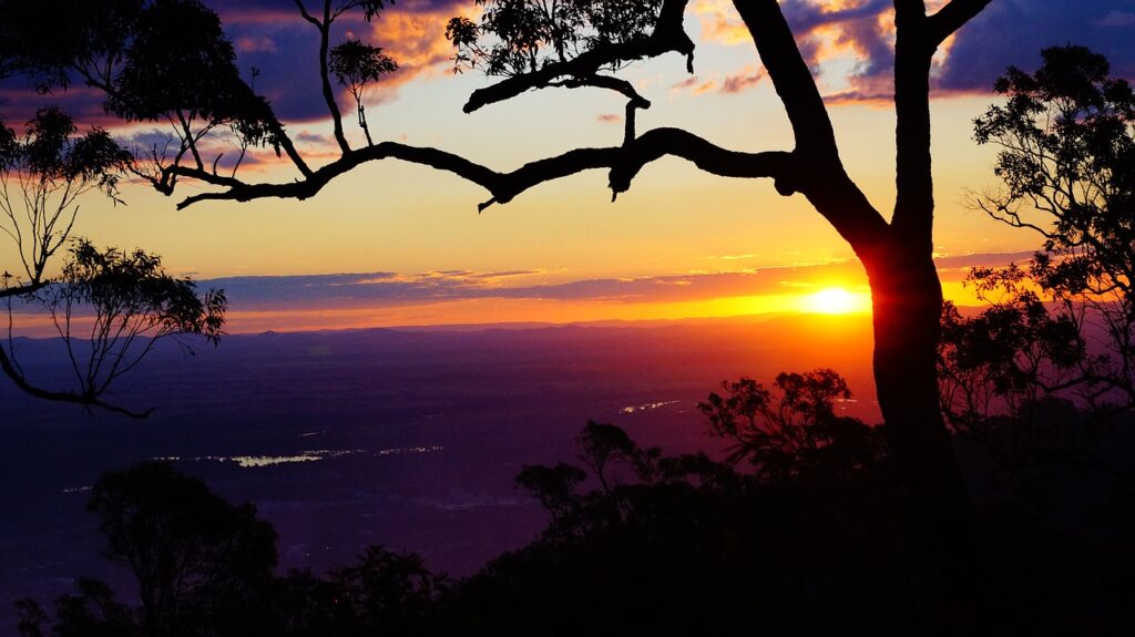 waste management Rockhampton featured image