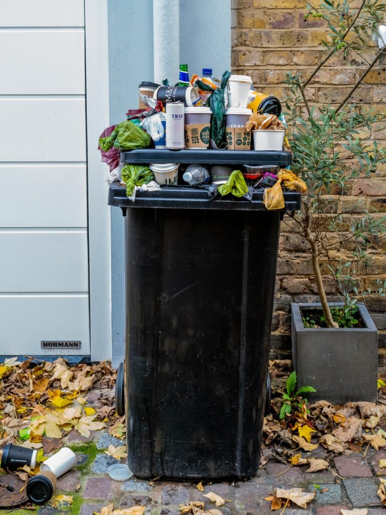 inner west bin collection