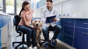 vet recycling 2