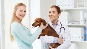 vet recycling 3