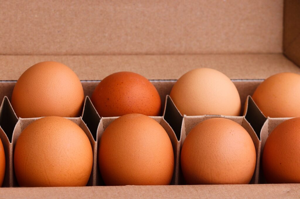 reusable food packaging australia: featured image