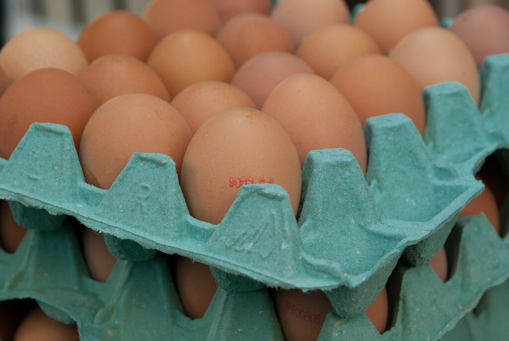 can egg cartons be recycled?