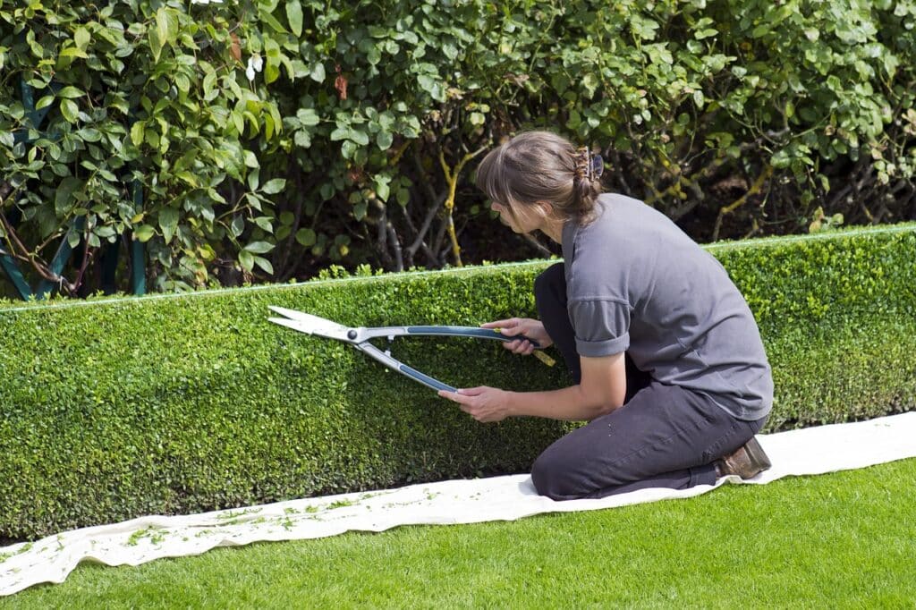 where to recycle gardening tools
