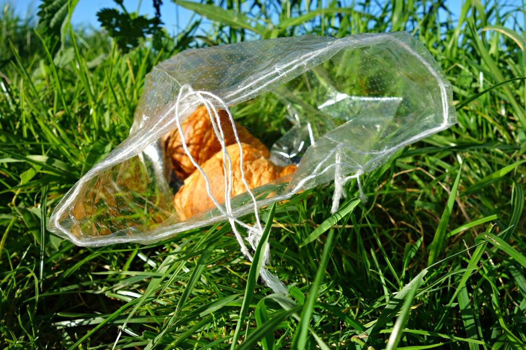 fogo bins