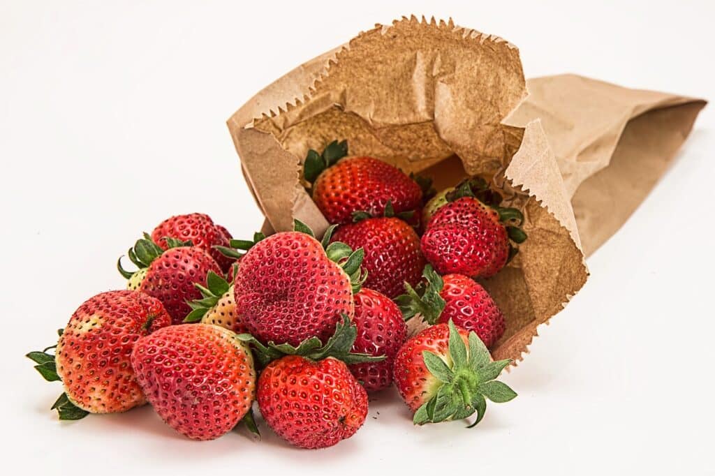 can you recycle paper bags?