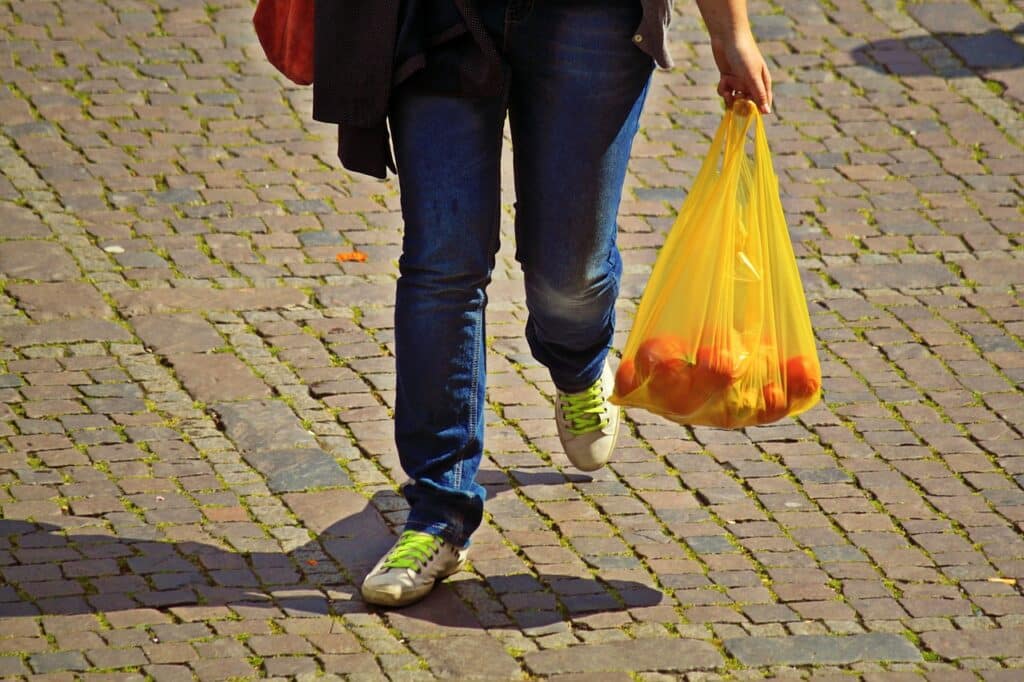 paper vs plastic bags