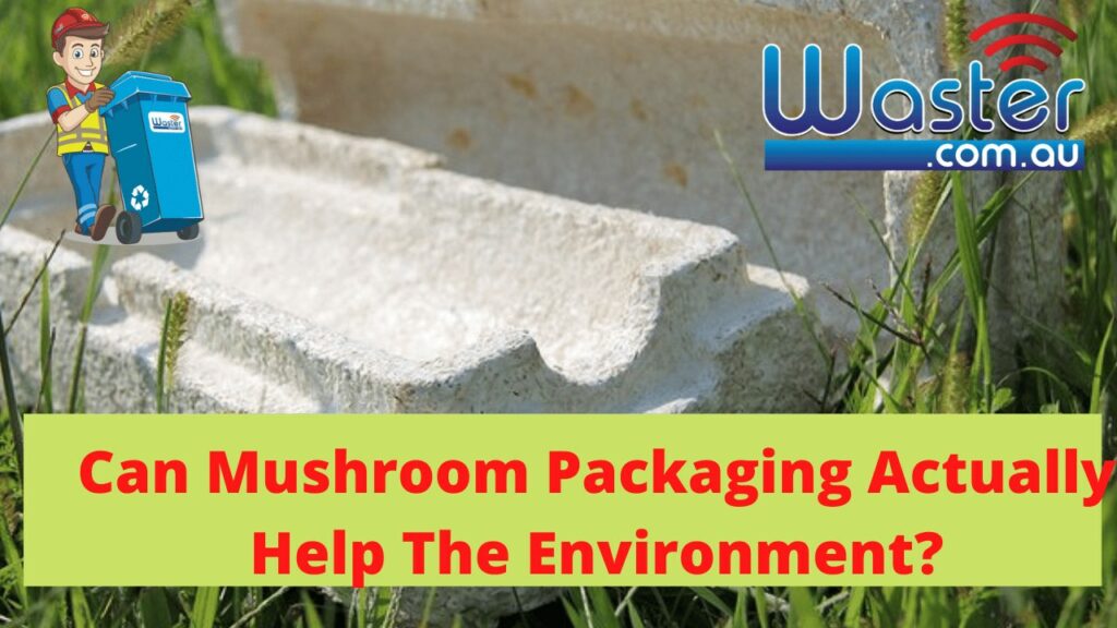 can mushroom packaging help the environment?