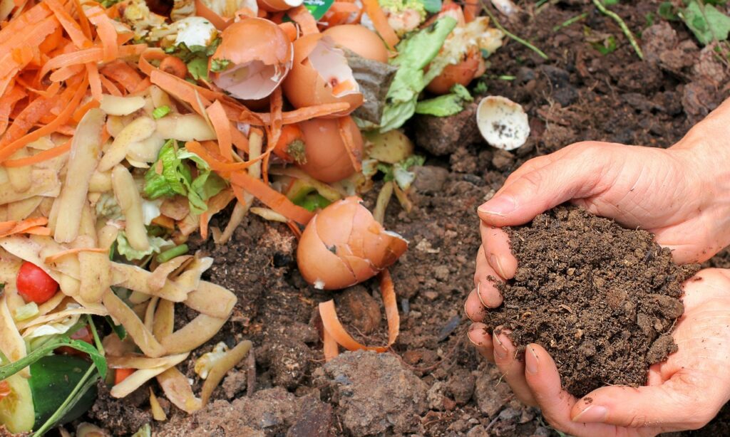 sharing waste