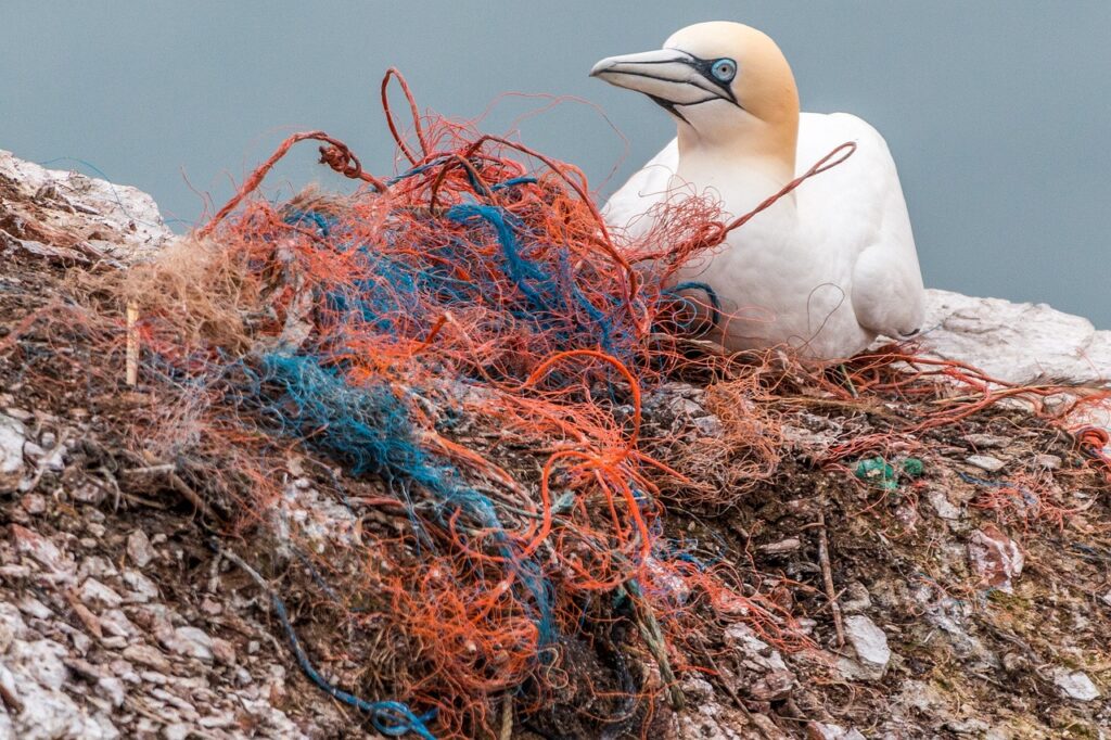 countries that pollute the ocean the most featured image