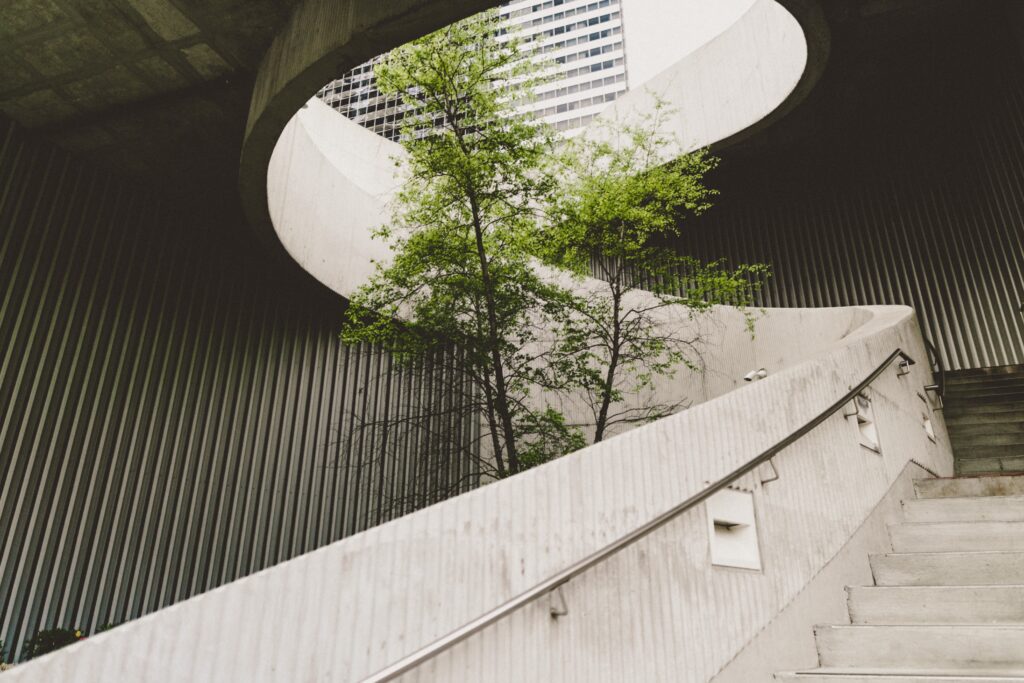 sustainability management featured image
