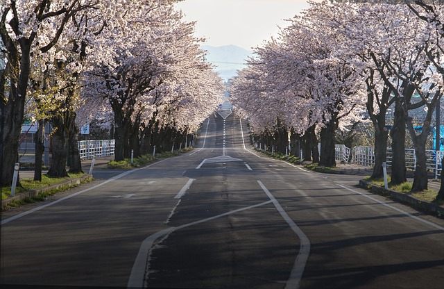 rubbish bins in Japan featured image