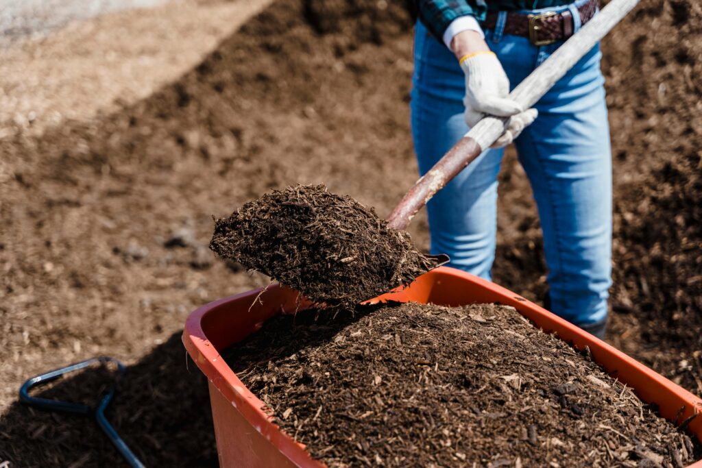compost vs landfill featured image