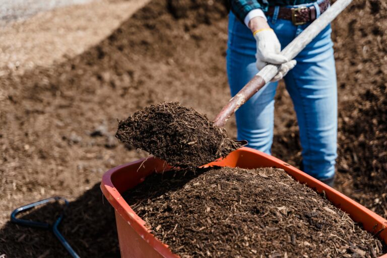 compost vs landfill featured image