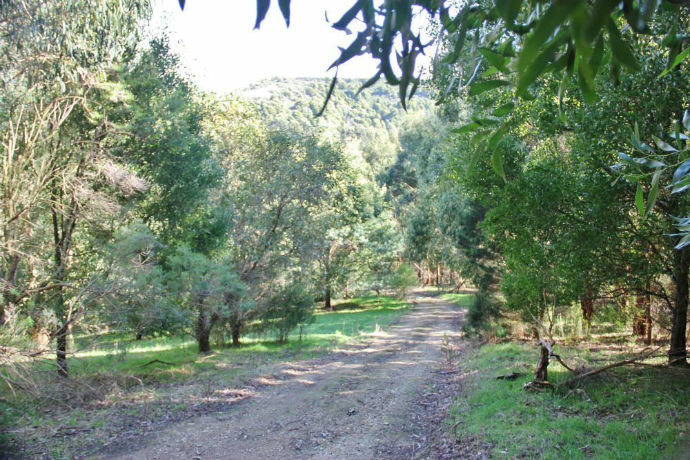 Battery-Creek-1-large